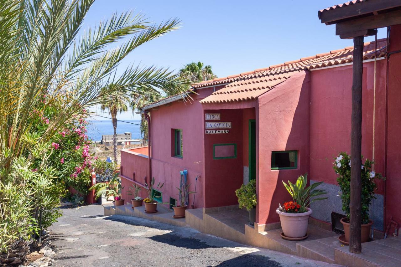Finca La Gaviota - El Marmol Икод де лос Винос Екстериор снимка